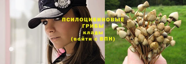 герыч Алексин