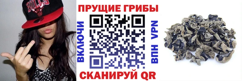 Галлюциногенные грибы Cubensis  Опочка 